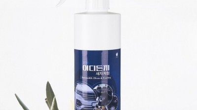 묵은 때 싹~ 흙탕물 엔진룸 청소 후기 & 꿀팁 대방출! ✨