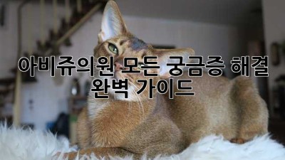 아비쥬의원: 모든 궁금증 해결 완벽 가이드