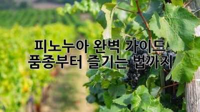 피노누아🍷 완벽 가이드: 품종부터 즐기는 법까지!