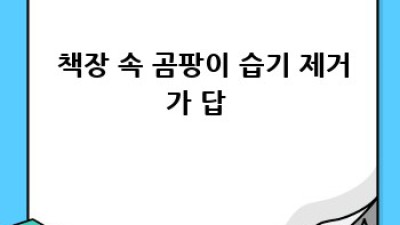 ✨ 깨끗함 유지! 해충 걱정 싹! 완벽 방충 가이드 🏡